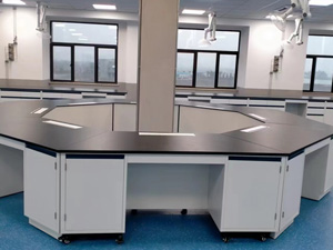 食品行業(yè)實驗室家具案例